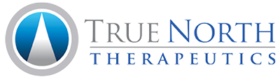 True North Logo